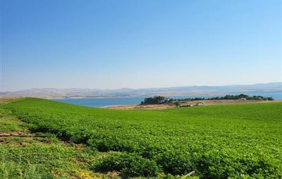 Şereflikoçhisar'da Baraja Sıfır, Elektrik ve Sulu 82 Dönüm Tarla