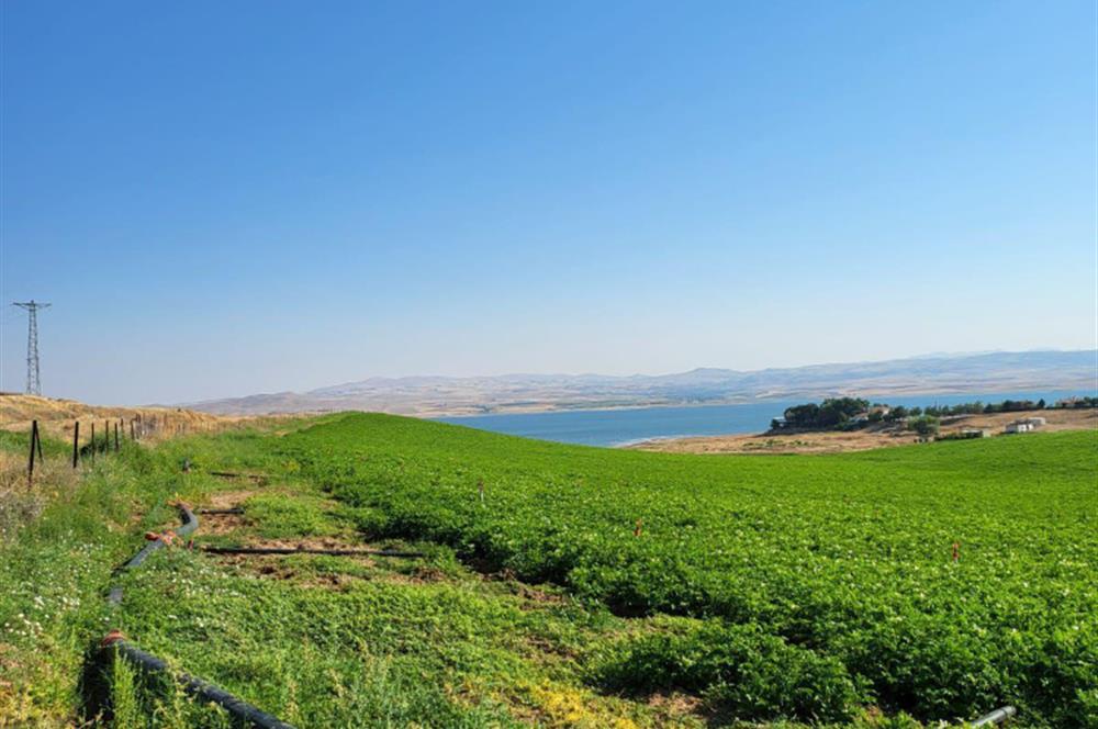 Şereflikoçhisar'da Baraja Sıfır, Elektrik ve Sulu 82 Dönüm Tarla