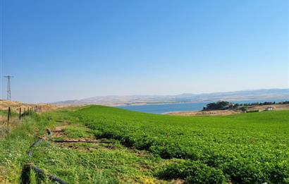 Şereflikoçhisar'da Baraja Sıfır, Elektrik ve Sulu 82 Dönüm Tarla