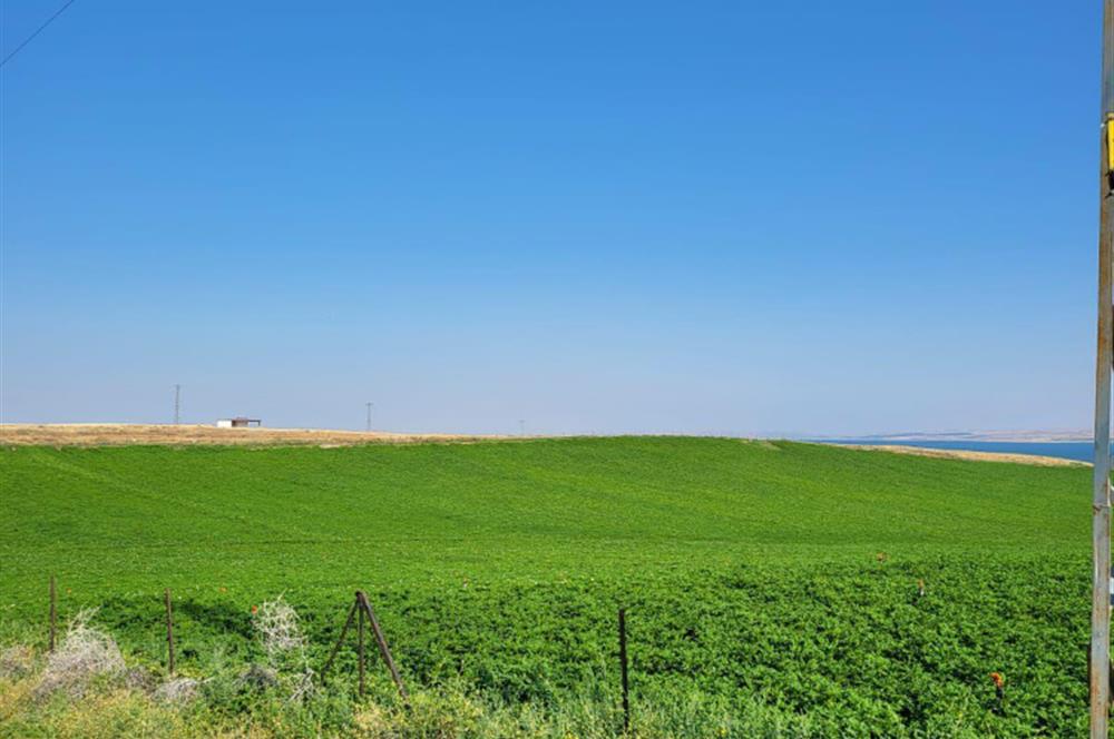 Şereflikoçhisar'da Baraja Sıfır, Elektrik ve Sulu 82 Dönüm Tarla