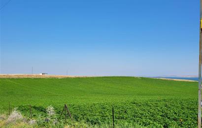 Şereflikoçhisar'da Baraja Sıfır, Elektrik ve Sulu 82 Dönüm Tarla