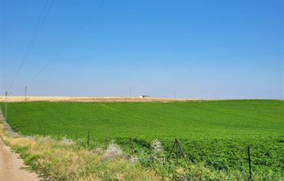 Şereflikoçhisar'da Baraja Sıfır, Elektrik ve Sulu 82 Dönüm Tarla