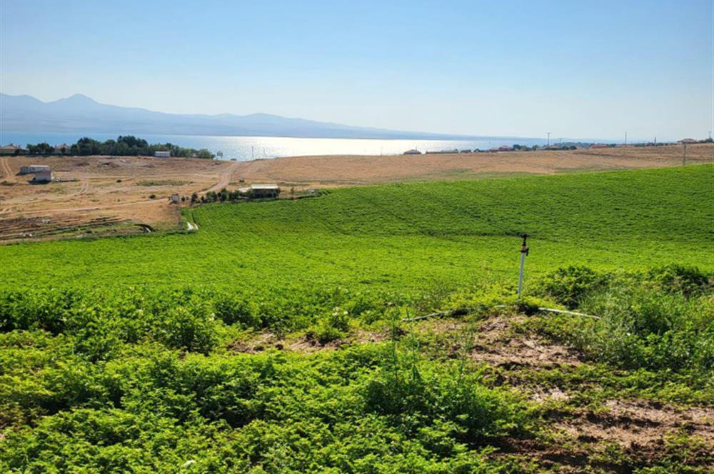 Şereflikoçhisar'da Baraja Sıfır, Elektrik ve Sulu 82 Dönüm Tarla