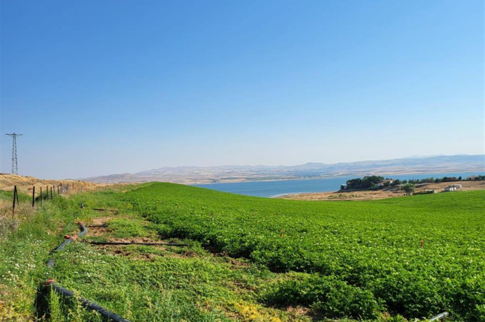 Şereflikoçhisar'da Baraja Sıfır, Elektrik ve Sulu 82 Dönüm Tarla