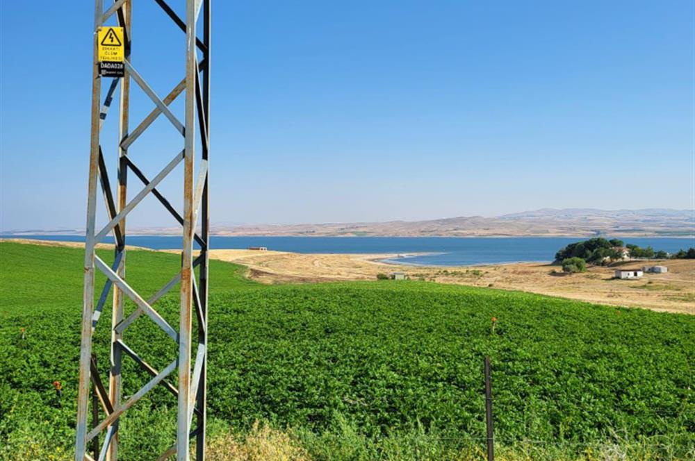 Şereflikoçhisar'da Baraja Sıfır, Elektrik ve Sulu 82 Dönüm Tarla