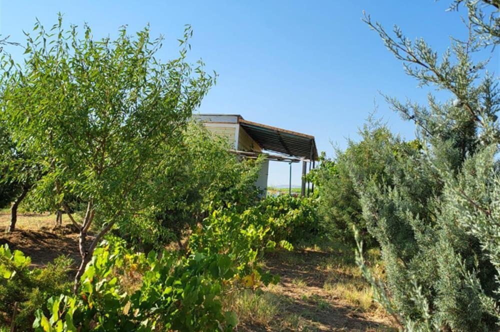 Şereflikoçhisar'da Baraja Sıfır, Elektrik ve Sulu 82 Dönüm Tarla