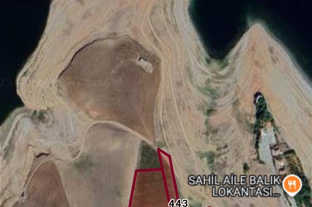 Şereflikoçhisar'da Baraja Sıfır, Elektrik ve Sulu 82 Dönüm Tarla