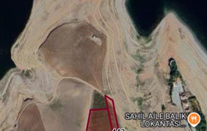 Şereflikoçhisar'da Baraja Sıfır, Elektrik ve Sulu 82 Dönüm Tarla