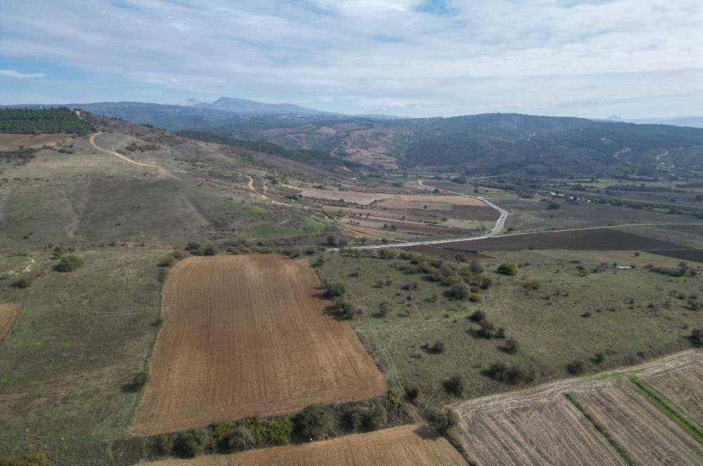 CENTRUY 21 BAL'DAN  SUSURLUK YILDIZ MAHALLESİ SATILIK TARLA