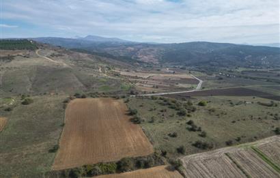 CENTRUY 21 BAL'DAN  SUSURLUK YILDIZ MAHALLESİ SATILIK TARLA