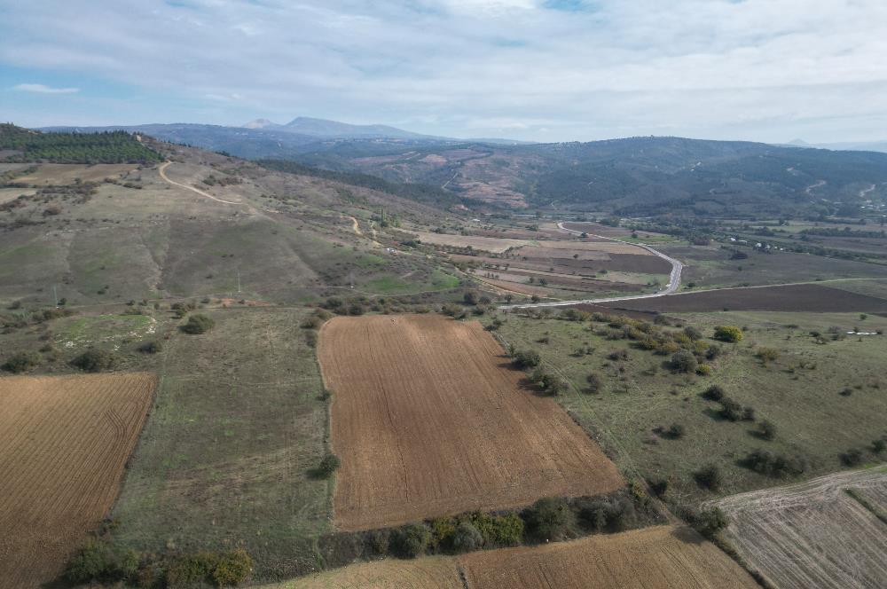 CENTRUY 21 BAL'DAN  SUSURLUK YILDIZ MAHALLESİ SATILIK TARLA