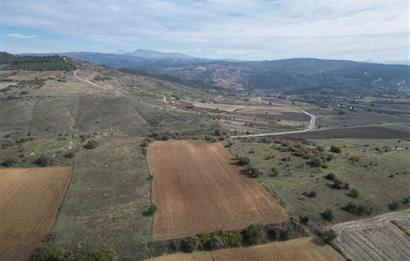 CENTRUY 21 BAL'DAN  SUSURLUK YILDIZ MAHALLESİ SATILIK TARLA