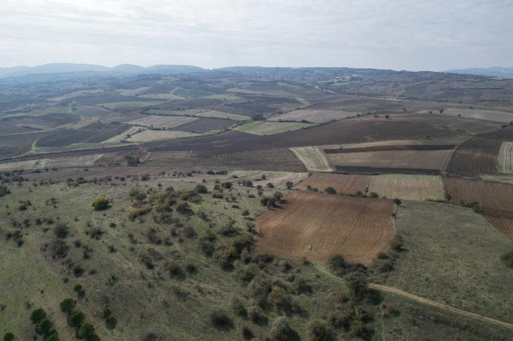 CENTRUY 21 BAL'DAN  SUSURLUK YILDIZ MAHALLESİ SATILIK TARLA