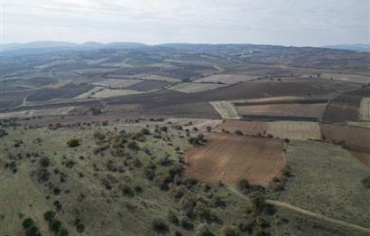 CENTRUY 21 BAL'DAN  SUSURLUK YILDIZ MAHALLESİ SATILIK TARLA