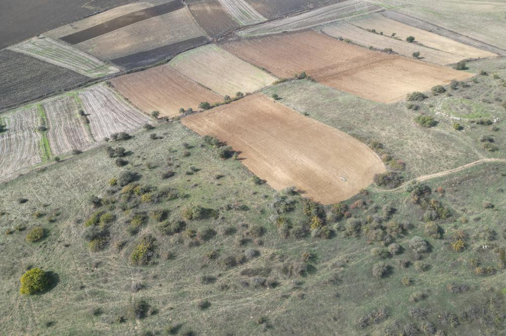 CENTRUY 21 BAL'DAN  SUSURLUK YILDIZ MAHALLESİ SATILIK TARLA