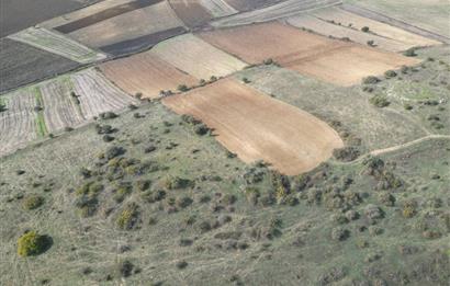 CENTRUY 21 BAL'DAN  SUSURLUK YILDIZ MAHALLESİ SATILIK TARLA