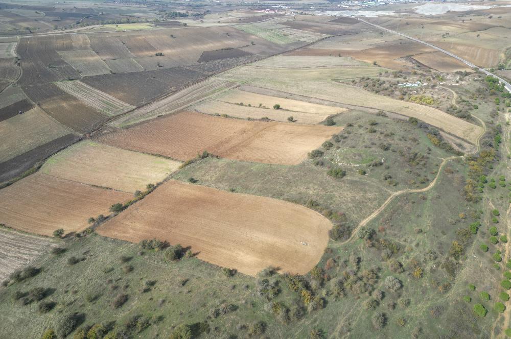 CENTRUY 21 BAL'DAN  SUSURLUK YILDIZ MAHALLESİ SATILIK TARLA