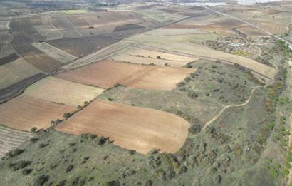 CENTRUY 21 BAL'DAN  SUSURLUK YILDIZ MAHALLESİ SATILIK TARLA