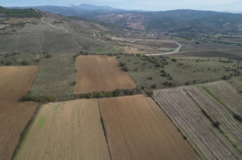 CENTRUY 21 BAL'DAN  SUSURLUK YILDIZ MAHALLESİ SATILIK TARLA