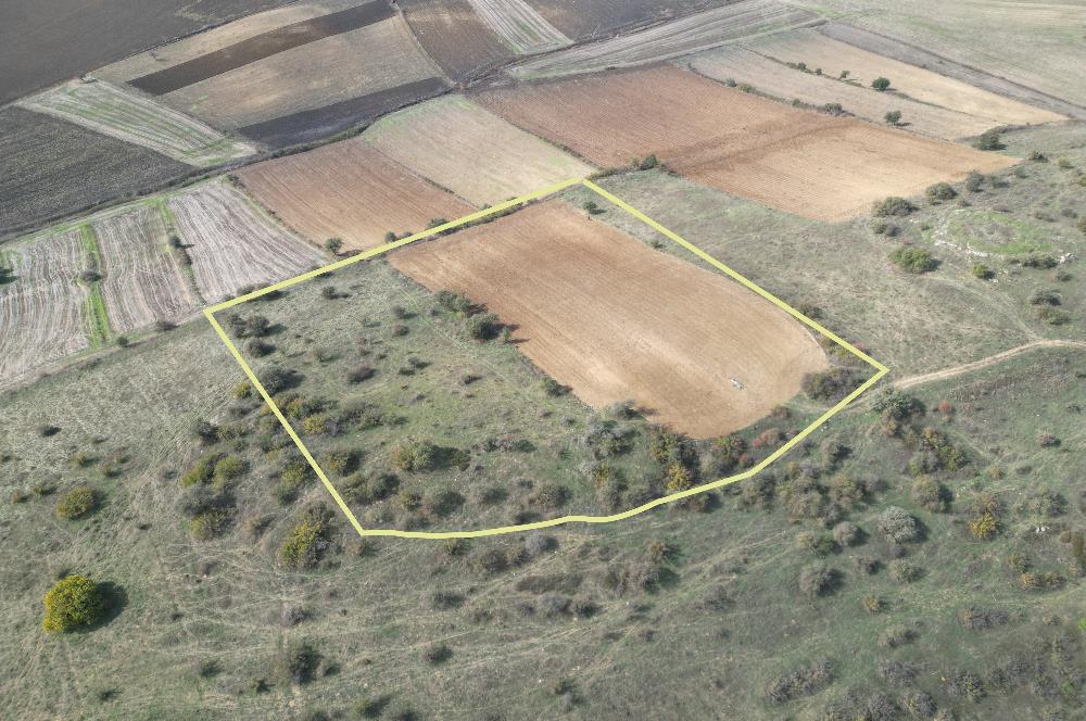 CENTRUY 21 BAL'DAN  SUSURLUK YILDIZ MAHALLESİ SATILIK TARLA