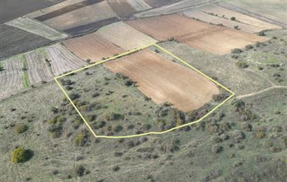 CENTRUY 21 BAL'DAN  SUSURLUK YILDIZ MAHALLESİ SATILIK TARLA