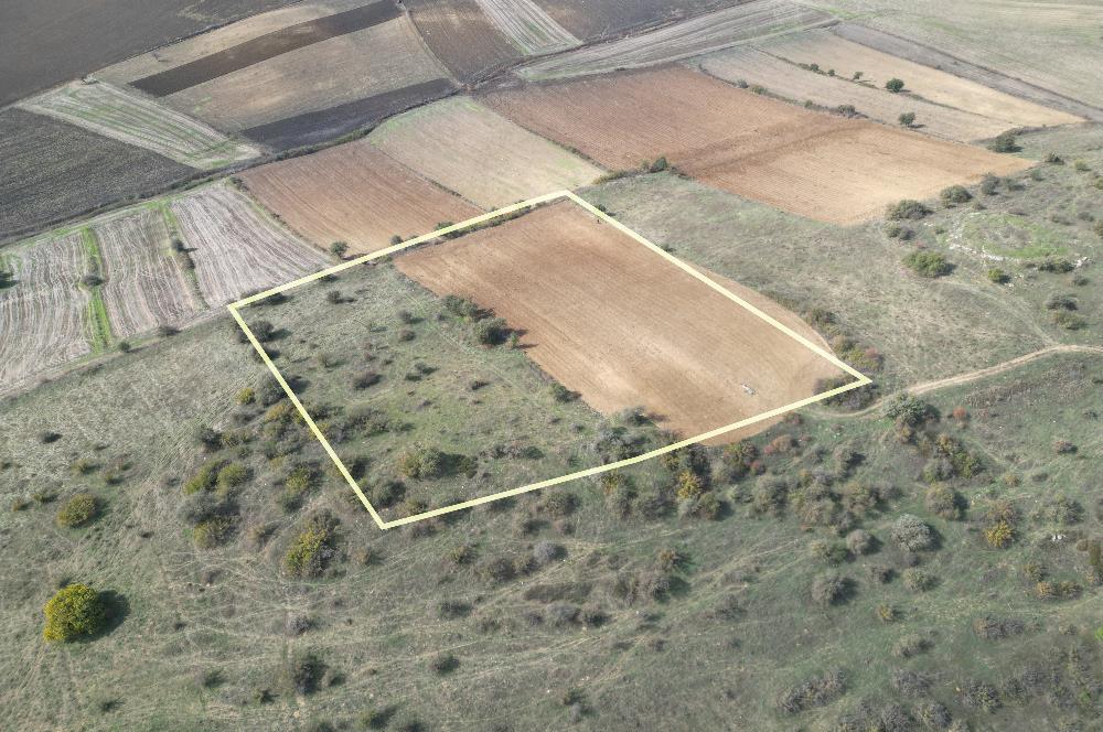 CENTRUY 21 BAL'DAN  SUSURLUK YILDIZ MAHALLESİ SATILIK TARLA