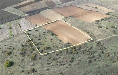 CENTRUY 21 BAL'DAN  SUSURLUK YILDIZ MAHALLESİ SATILIK TARLA