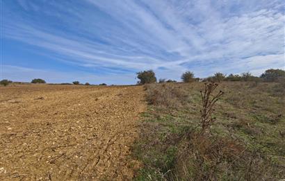 CENTRUY 21 BAL'DAN  SUSURLUK YILDIZ MAHALLESİ SATILIK TARLA