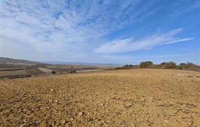 CENTRUY 21 BAL'DAN  SUSURLUK YILDIZ MAHALLESİ SATILIK TARLA