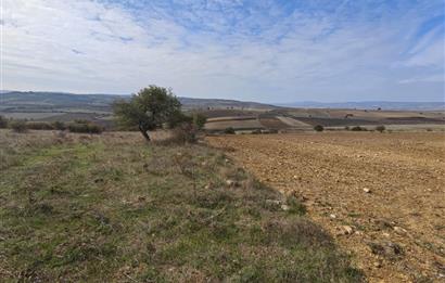 CENTRUY 21 BAL'DAN  SUSURLUK YILDIZ MAHALLESİ SATILIK TARLA