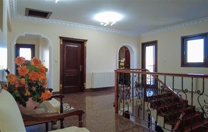 ELMADAĞ İLÇESİNDE 20.000 m2 BESİ ÇİFTLİĞİ