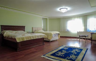 ELMADAĞ İLÇESİNDE 20.000 m2 BESİ ÇİFTLİĞİ