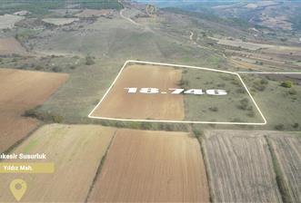 CENTRUY 21 BAL'DAN  SUSURLUK YILDIZ MAHALLESİ SATILIK TARLA