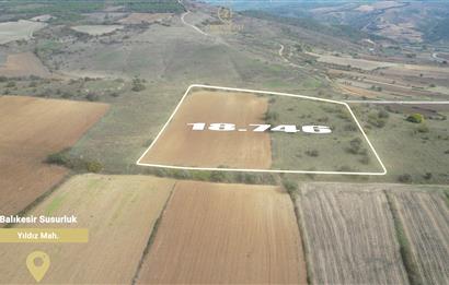 CENTRUY 21 BAL'DAN  SUSURLUK YILDIZ MAHALLESİ SATILIK TARLA