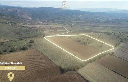 CENTRUY 21 BAL'DAN  SUSURLUK YILDIZ MAHALLESİ SATILIK TARLA