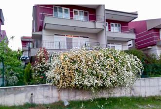 C21 BAL'DAN ÖZ MUTLU SİTESİNDE 4+2 BAHÇELİ SATILIK VİLLA