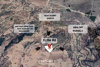 C21 NOVO'DAN UŞAK ULUBEY ÇARDAK'TA 11.156 M2 SATILIK ARAZİ