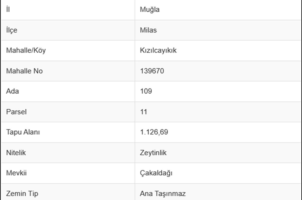 Milas Kızılcayıkık Çakaldağı Mevkinde Satılık Zeytinlik
