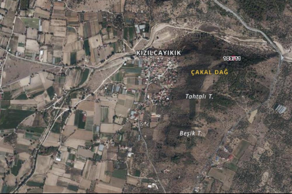 Milas Kızılcayıkık Çakaldağı Mevkinde Satılık Zeytinlik