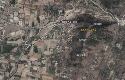 Milas Kızılcayıkık Çakaldağı Mevkinde Satılık Zeytinlik