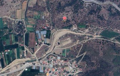 Muğla Milas Kızılcayıkık Satılık Aşılı Zeytinlik