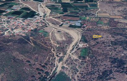 Muğla Milas Kızılcayıkık Satılık Aşılı Zeytinlik