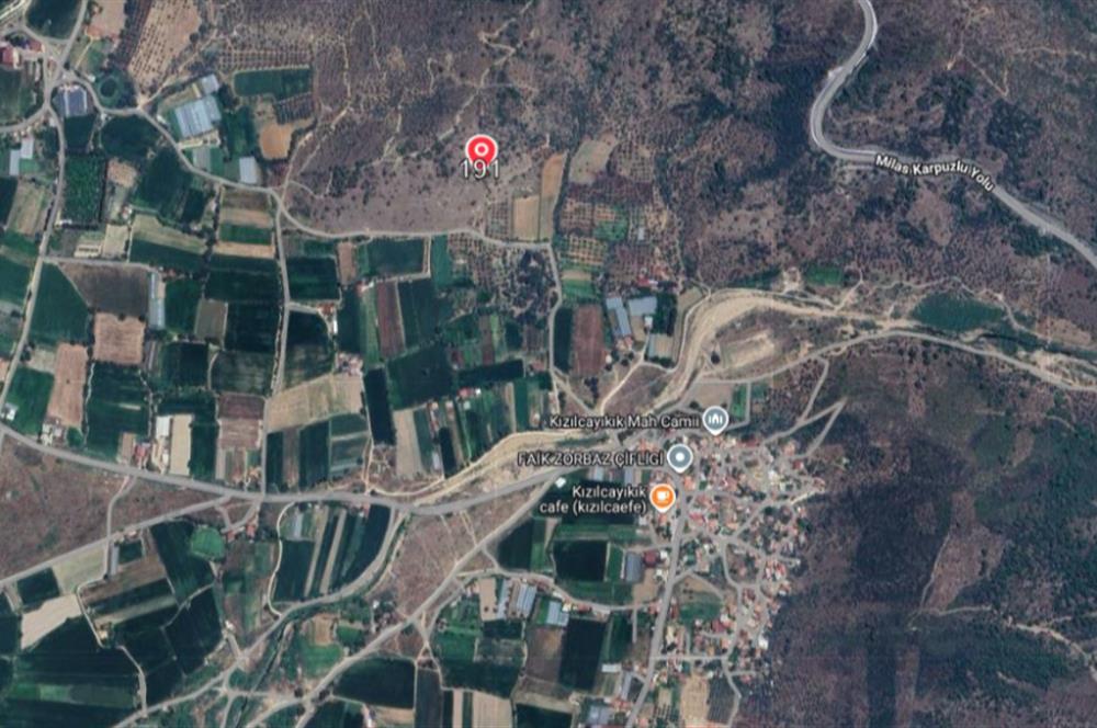 Muğla Milas Kızılcayıkık Satılık Zeytinlik