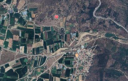 Muğla Milas Kızılcayıkık Satılık Zeytinlik