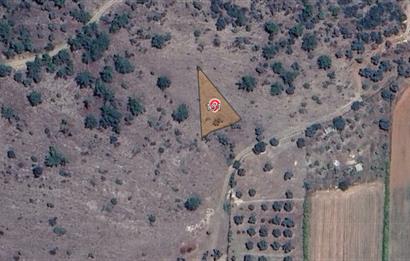 Muğla Milas Kızılcayıkık Satılık Zeytinlik