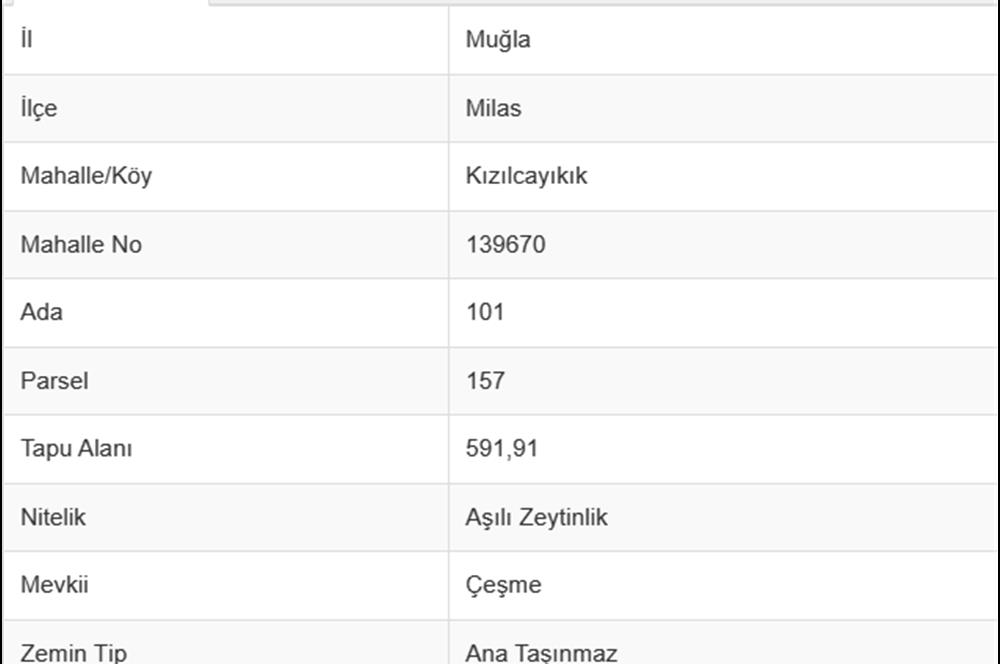 Muğla Milas Kızılcayıkık Satılık Aşılı Zeytinlik