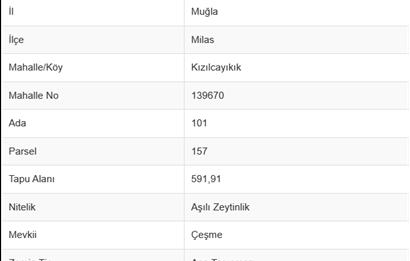 Muğla Milas Kızılcayıkık Satılık Aşılı Zeytinlik