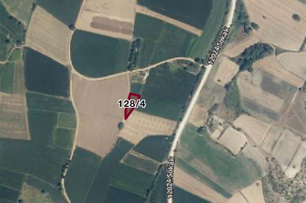 C21 LOCA'DAN DEREKÖY'DE TARLA 