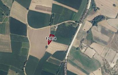 C21 LOCA'DAN DEREKÖY'DE TARLA 