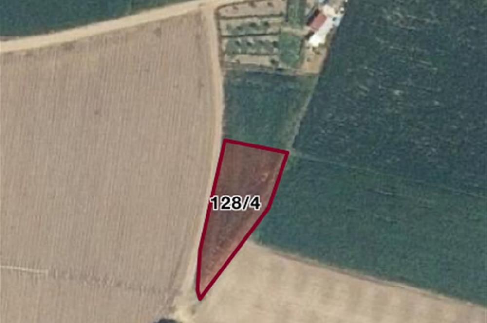 C21 LOCA'DAN DEREKÖY'DE TARLA 